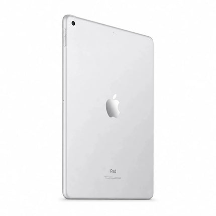 Apple Ipad 10.2" 8Th Gen 2020 Usato