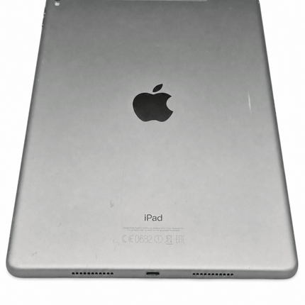 Apple iPad Pro 10,5" 2017 256GB Cellular Usato Grado C Gray