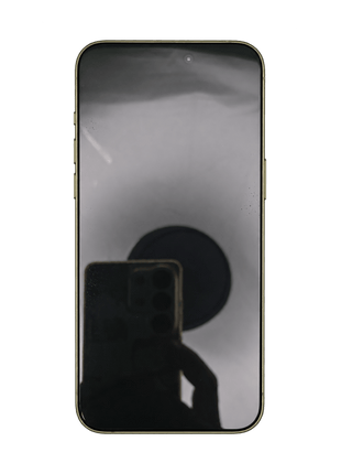 Apple iPhone 15 Pro Max 256GB Titanio Naturale Usato