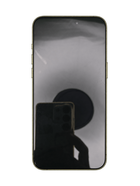 Apple iPhone 15 Pro Max 256GB Titanio Naturale Usato