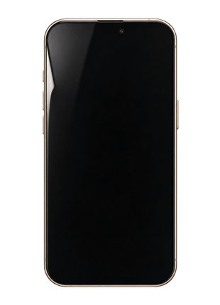 Apple iPhone 16 Pro Max 256GB Titanio Sabbia Usato