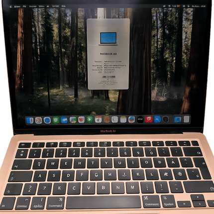 MacBook Air A2179 2020 Intel Core i5 8GB 512GB Rose Gold usato